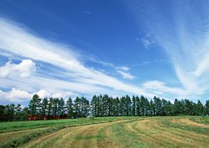 静岡県浜松市における伝統と革新を融合した家族葬の専門斎場「家族葬のタクセル天王」詳細ガイド