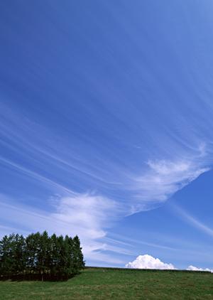 静岡県浜松市の家族葬専門斎場【家族葬のタクセル有玉南町】｜安心低価格の家族葬プランをご提供