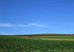 静岡県富士宮市の信頼と実績を誇る家族葬・葬儀場｜富士葬祭の全て