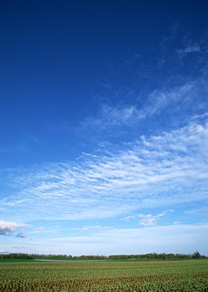 静岡市葵区に新規オープン！家族葬専門の【家族葬のタクセル沓谷】の魅力と特徴