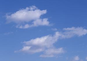 浜松市浜名区の家族葬・小規模葬儀に最適な富士葬祭 浜北沼：安心と上質な空間を提供する斎場