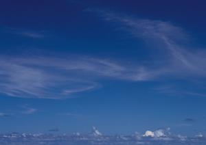 静岡市の信頼と実績を誇る家族葬・一般葬対応の富士葬祭 瀬名：安全・安心な葬儀を提供する総合葬儀場の詳細解説